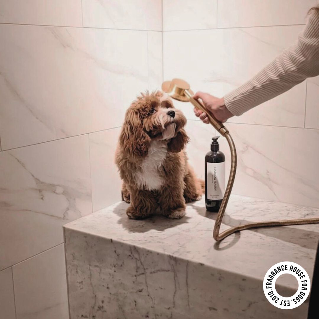 Conditioning Shampoo | L'hermitage 37