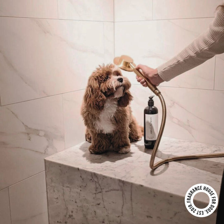 Conditioning Shampoo | L'hermitage 37