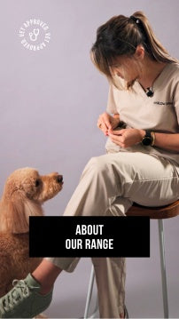Harlow Harry vet advisor interacting with a dog while introducing the conditioning dog shampoo and pet cologne range — luxury grooming products for dogs