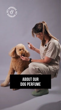 Vet applying dog perfume to a dog with text about the product on a gray background