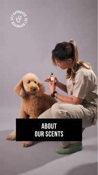 Vet with a dog, holding a bottle labeled 'Vet-Approved', on a gray background.