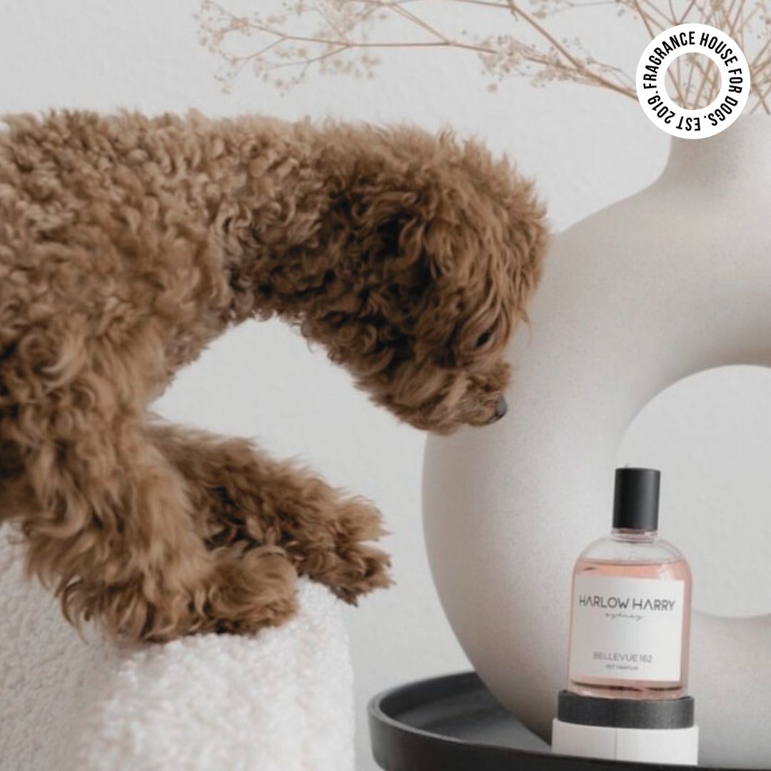 Dog Perfume | The Pair