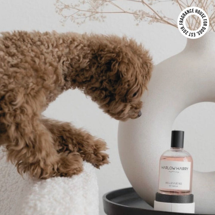 Dog Perfume | The Pair