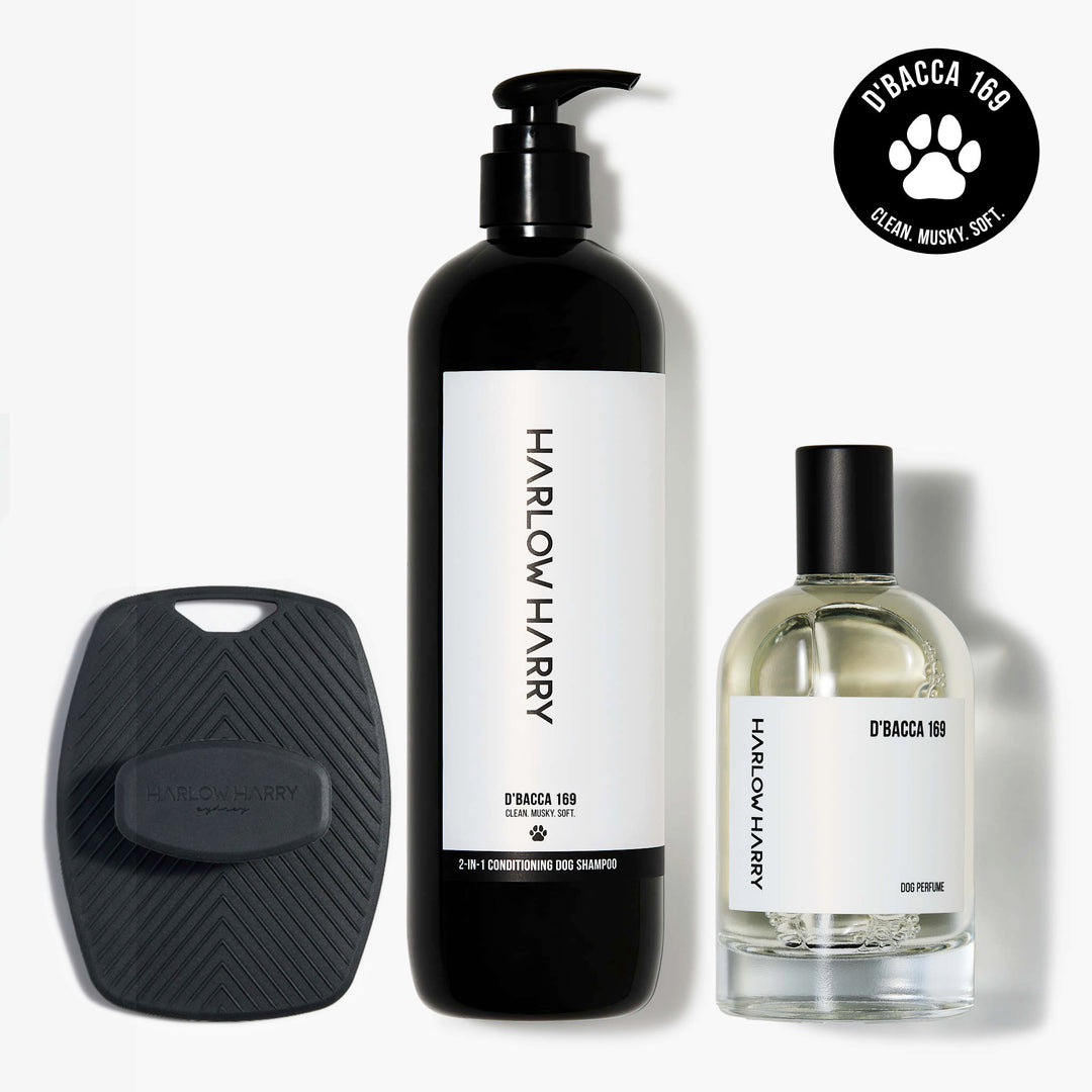 The Bougie-est Dog Bundle