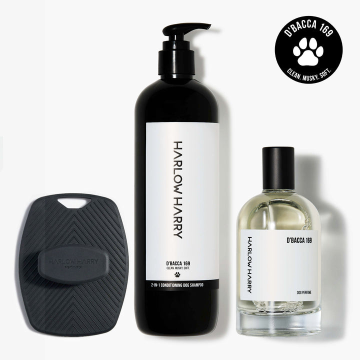 The Bougie-est Dog Bundle