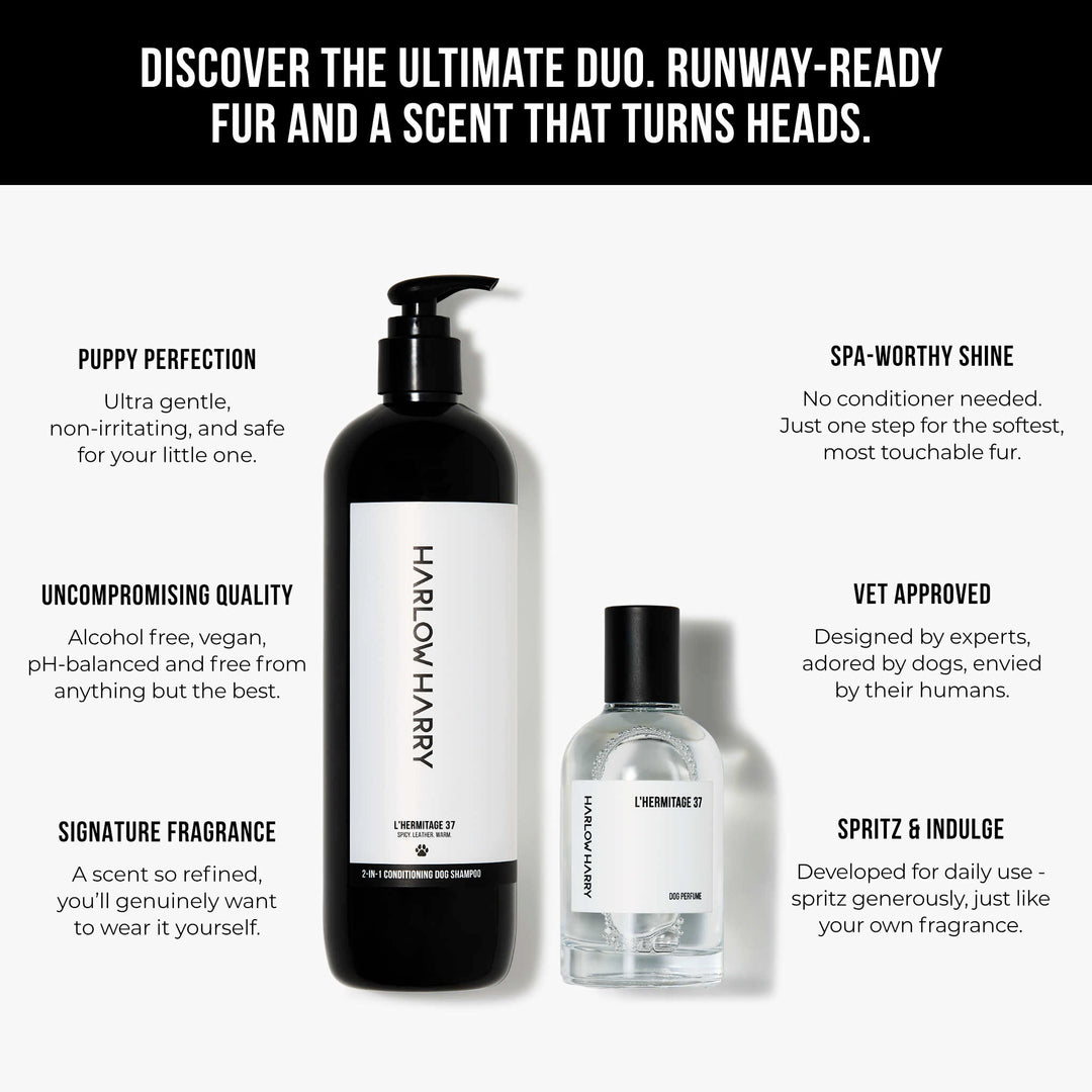 L'hermitage 37 conditioning shampoo by Harlow Harry formulated for dogs with sensitive skin and matching pet perfume scent