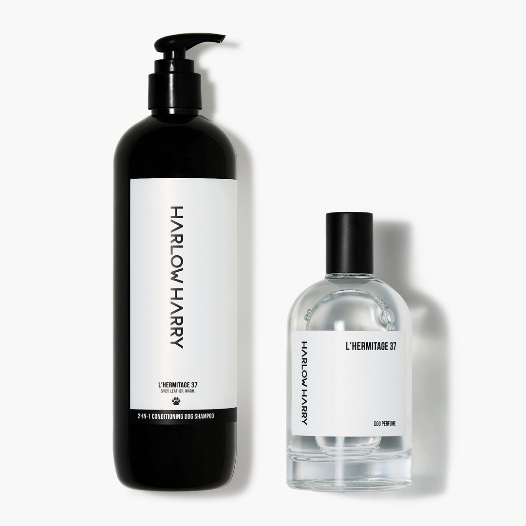 Harlow Harry dog perfume and shampoo bundle in L'hermitage 37 scent offering premium dog fragrances and pet cologne in one set