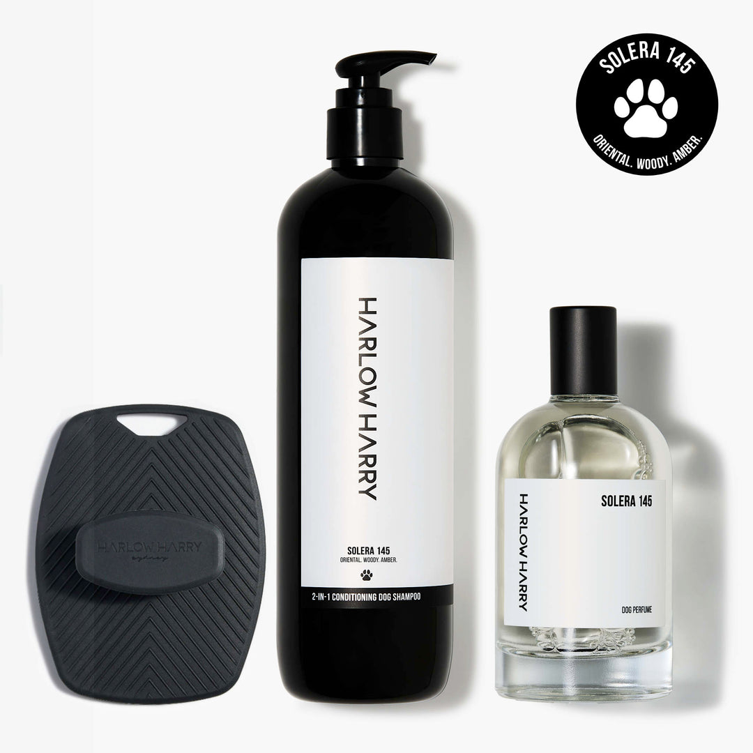 The Bougie-est Dog Bundle