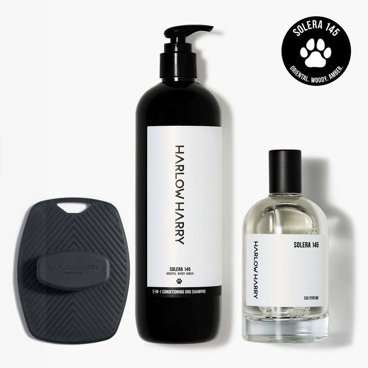 The Bougie-est Dog Bundle