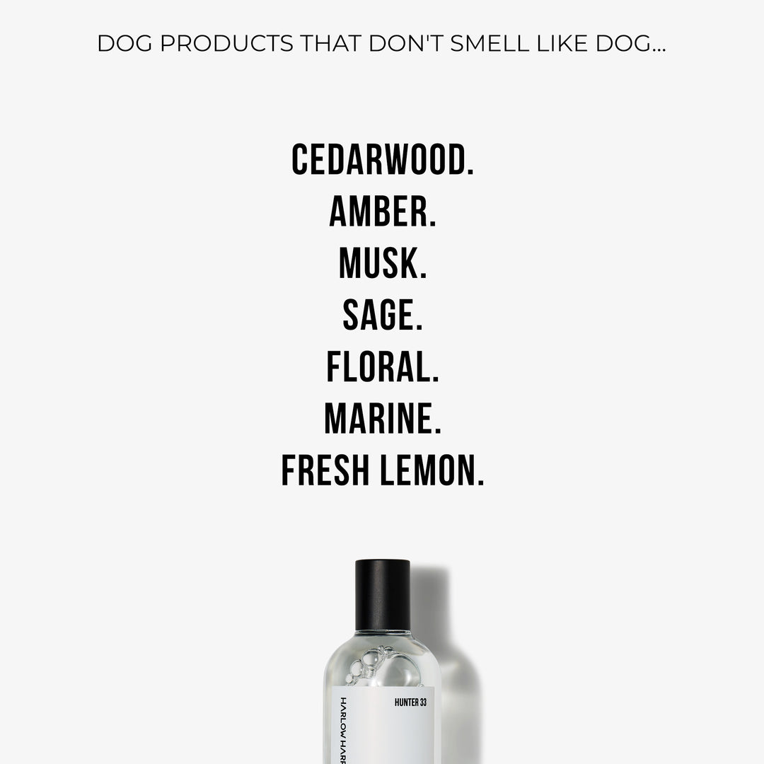 Dog perfume by Harlow Harry featuring a fresh marine pet cologne scent in a minimalist glass bottle