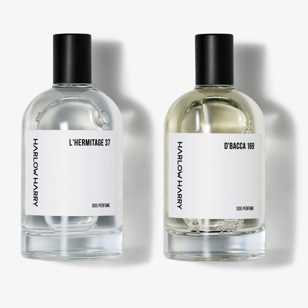 Harlow Harry The Pair 2.0 dog perfume set — features L'hermitage 37 and D'bacca 169 pet fragrances for dogs