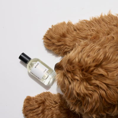 Harlow Harry Solera 145 dog perfume — oriental and amber pet perfume for dogs