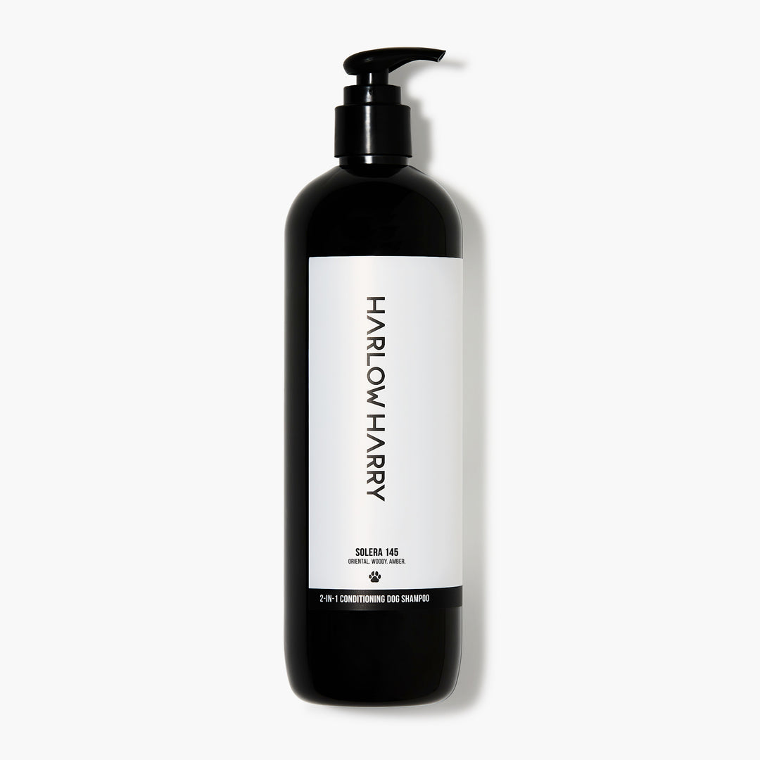 Conditioning Shampoo | Solera 145 (St Argo 191)