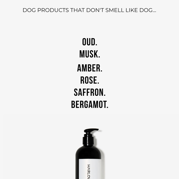 Conditioning Shampoo | Solera 145 (St Argo 191)