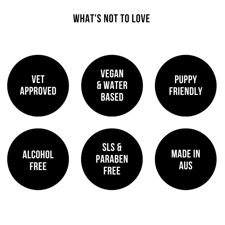 Conditioning Shampoo | Solera 145 (St Argo 191)