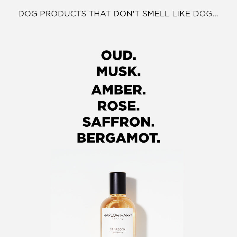 Dog Perfume | St Argo 191