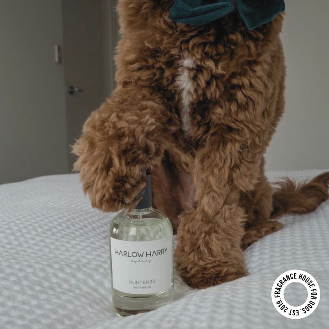 Dog Perfume | The Pair