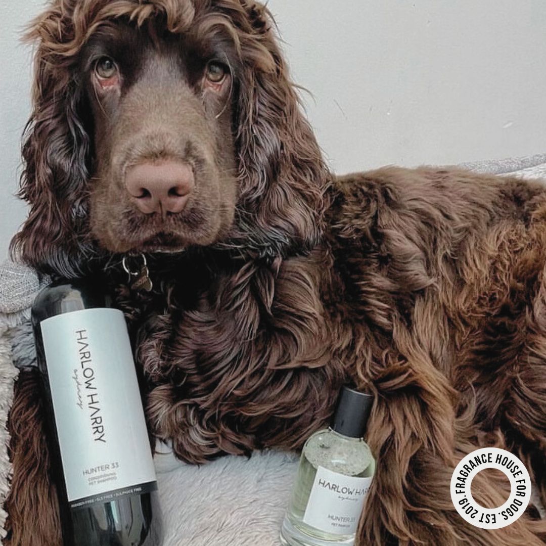Hunter 33 dog perfume by Harlow Harry featuring a fresh marine pet cologne scent in a minimalist glass bottle