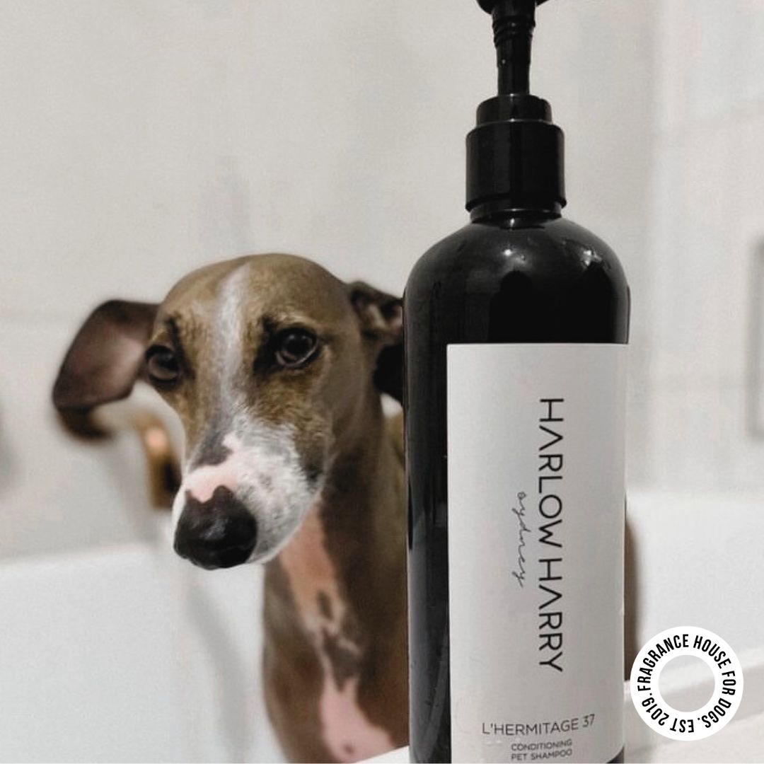 Conditioning Shampoo | L'hermitage 37
