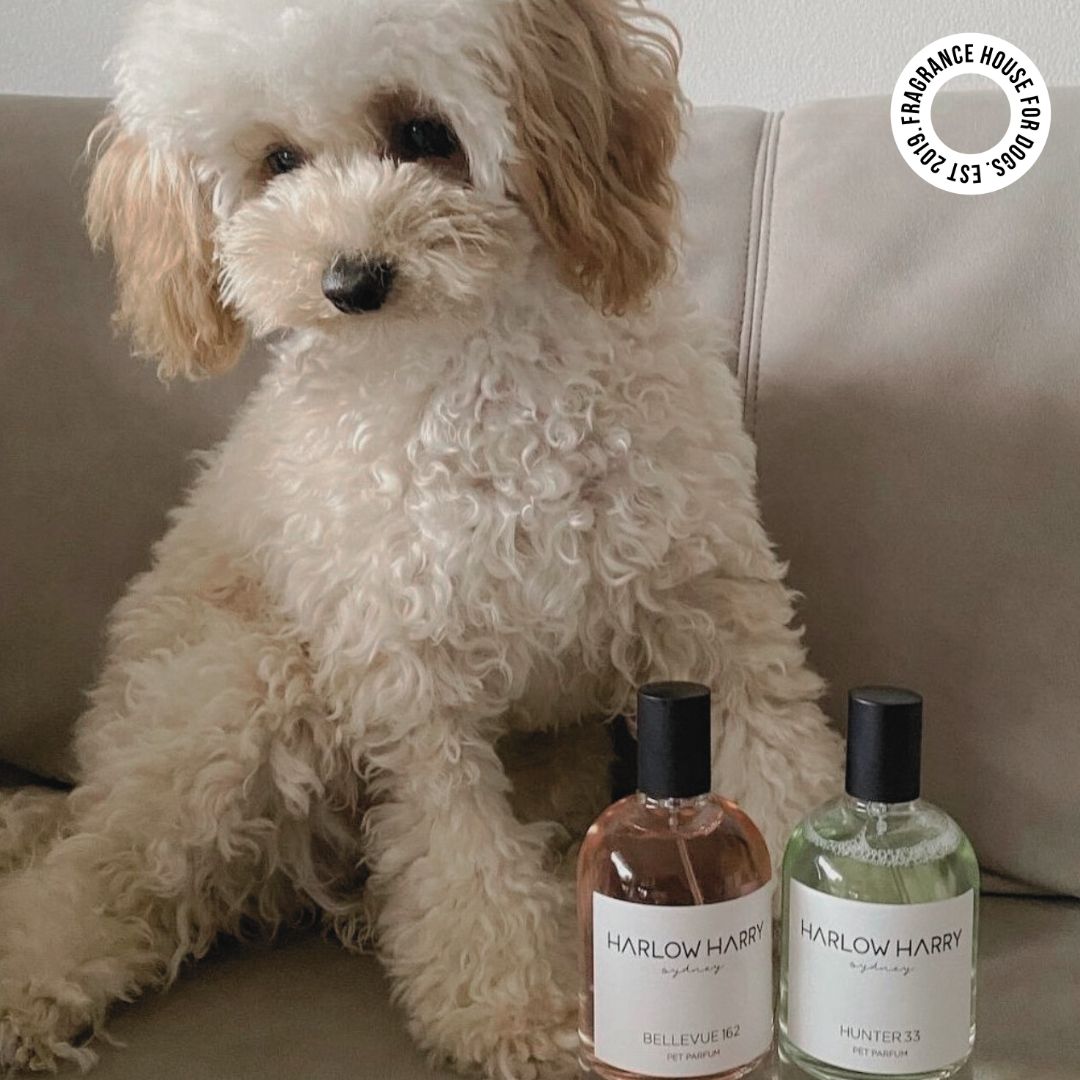 Dog Perfume | The Pair