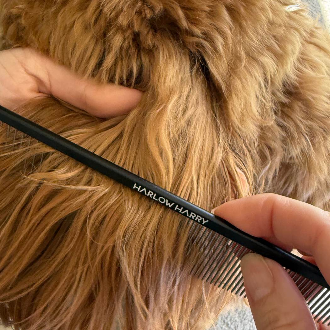 Person using a black comb labeled 'HARLOW HARRY' on a dog's fur.