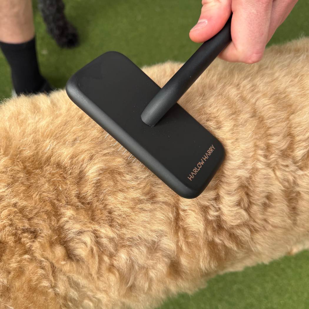 Black HARLOW HARRY grooming brush brushing dogs fur