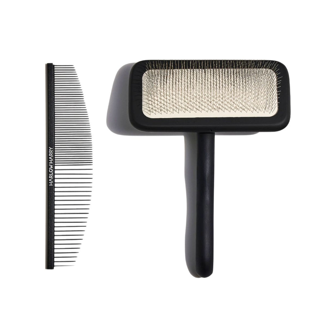 Dog grooming bundle with slicker brush and metal comb for detangling.