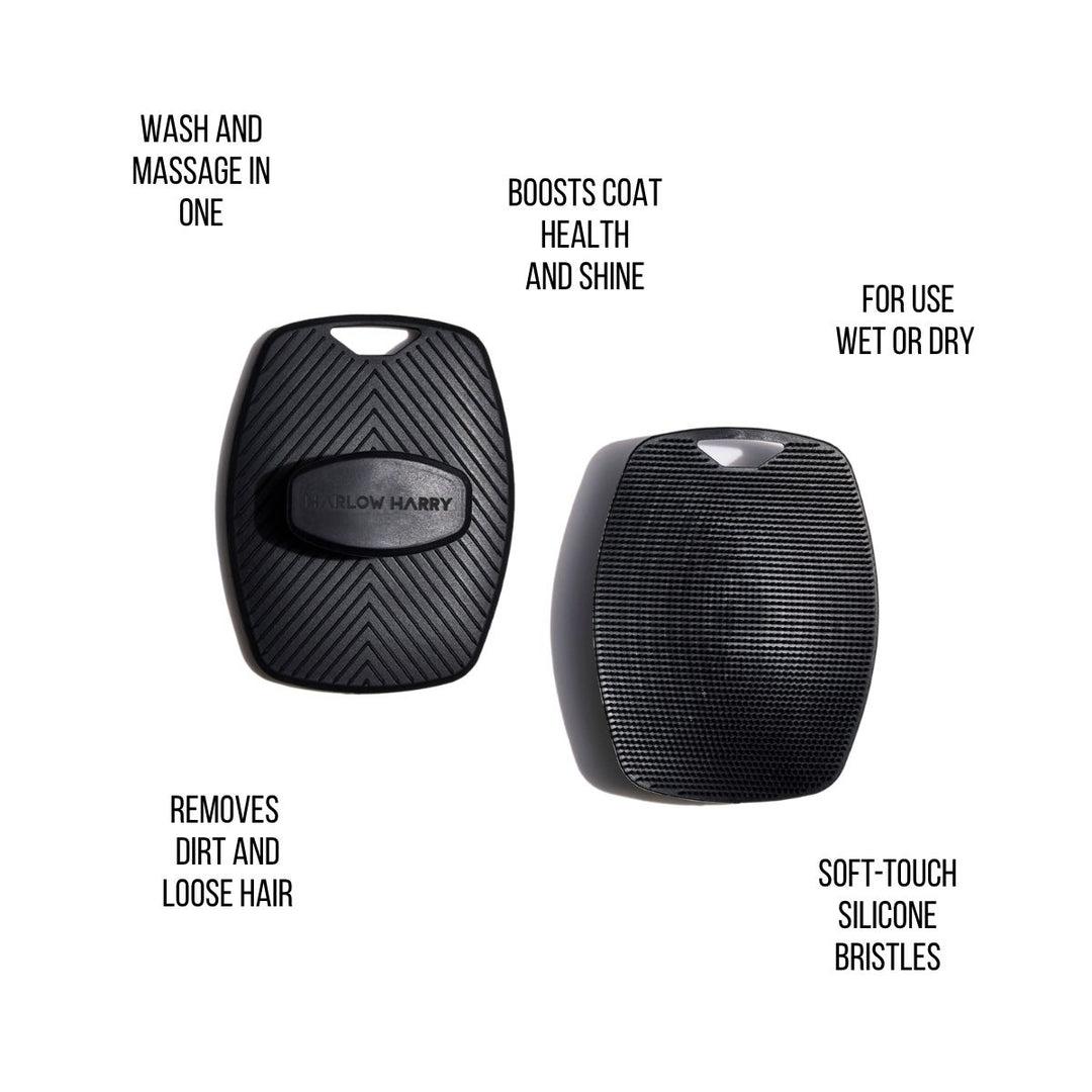 Bath time dog brush with soft bristles for a deep yet gentle clean.