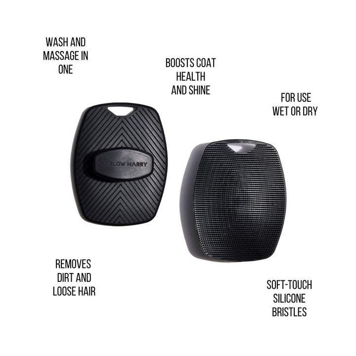 Bath time dog brush with soft bristles for a deep yet gentle clean.