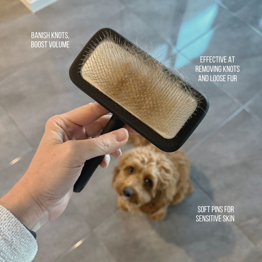 Soft black handle slicker brush with ultra-soft pins for dogs.