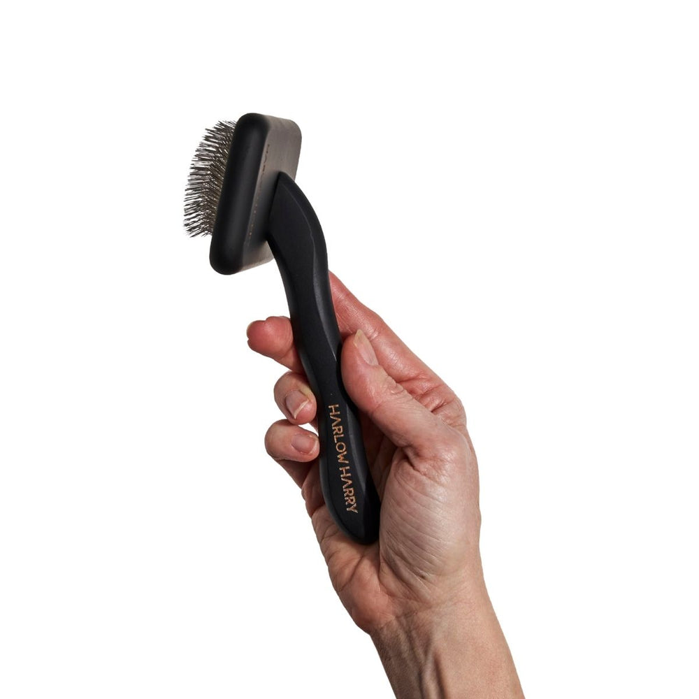Hand holding a black slicker brush for dogs with HARLOW HARRY branding