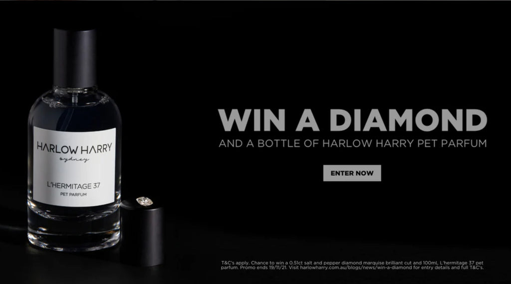 Win A Diamond With Harlow Harry