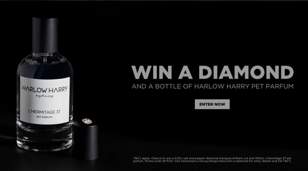 Win A Diamond With HARLOW HARRY