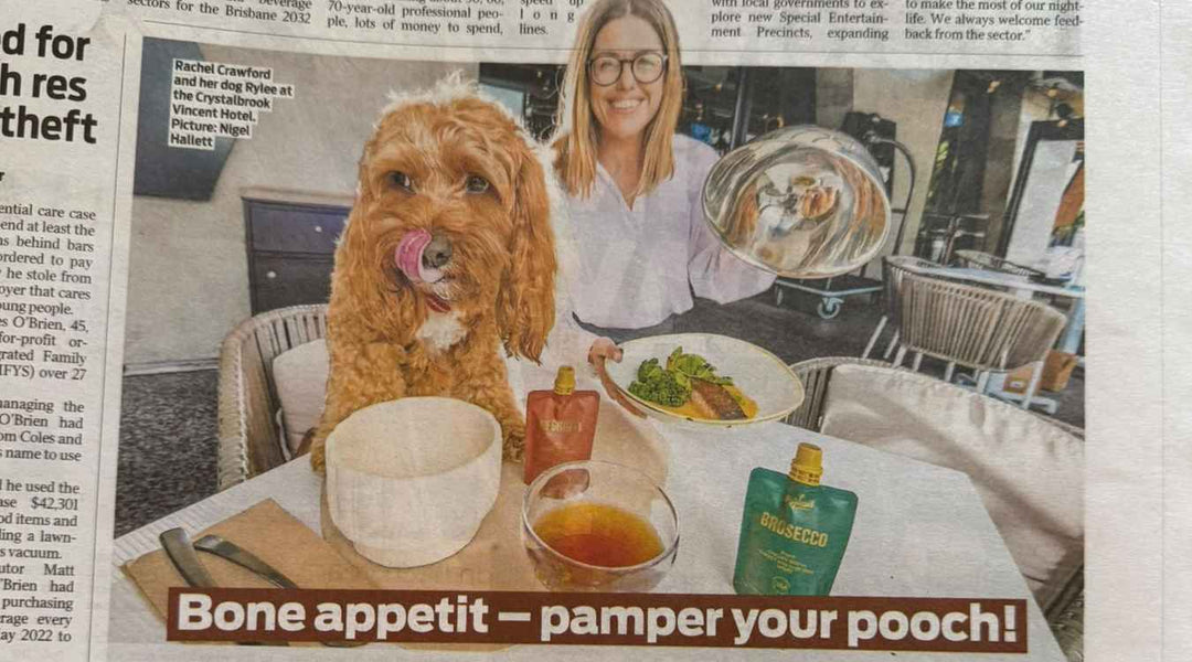 The Courier Mail feature on Brisbane's dog friendly Puptail Society dining event