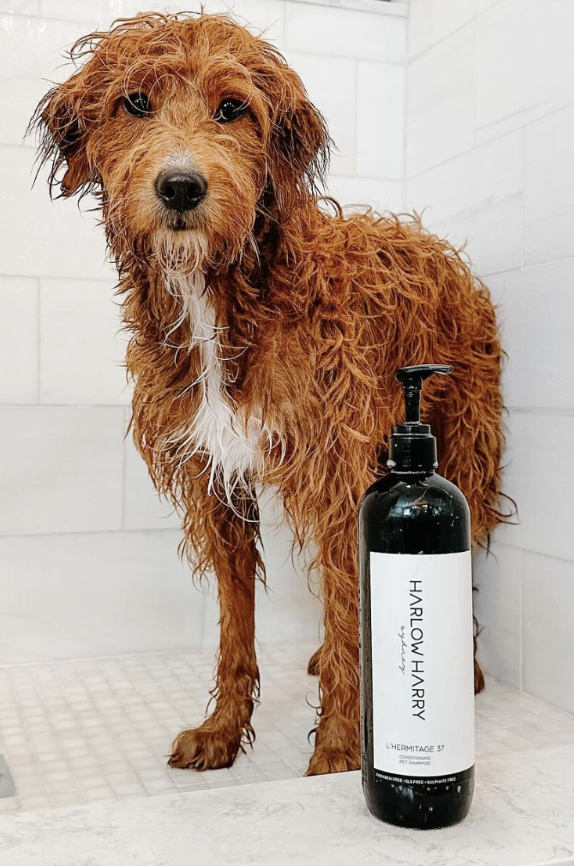 2-in-1 Conditioning Dog Shampoo
