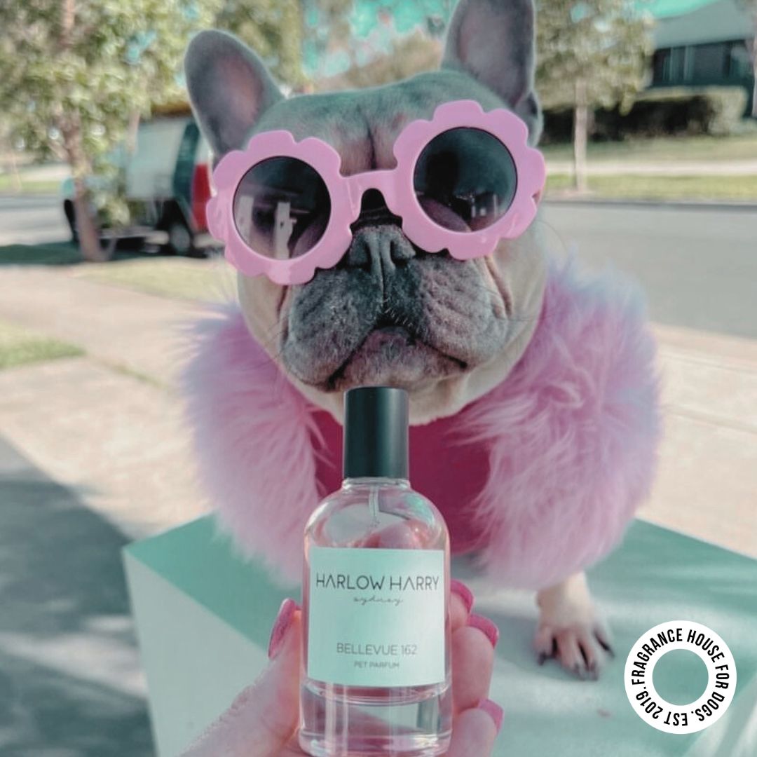 Dog perfume australia store