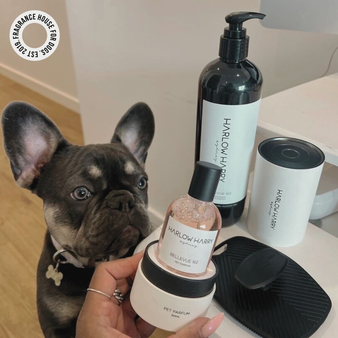 Pet Groomers Adore Pet Spa The Bougie-est Dog Bundle