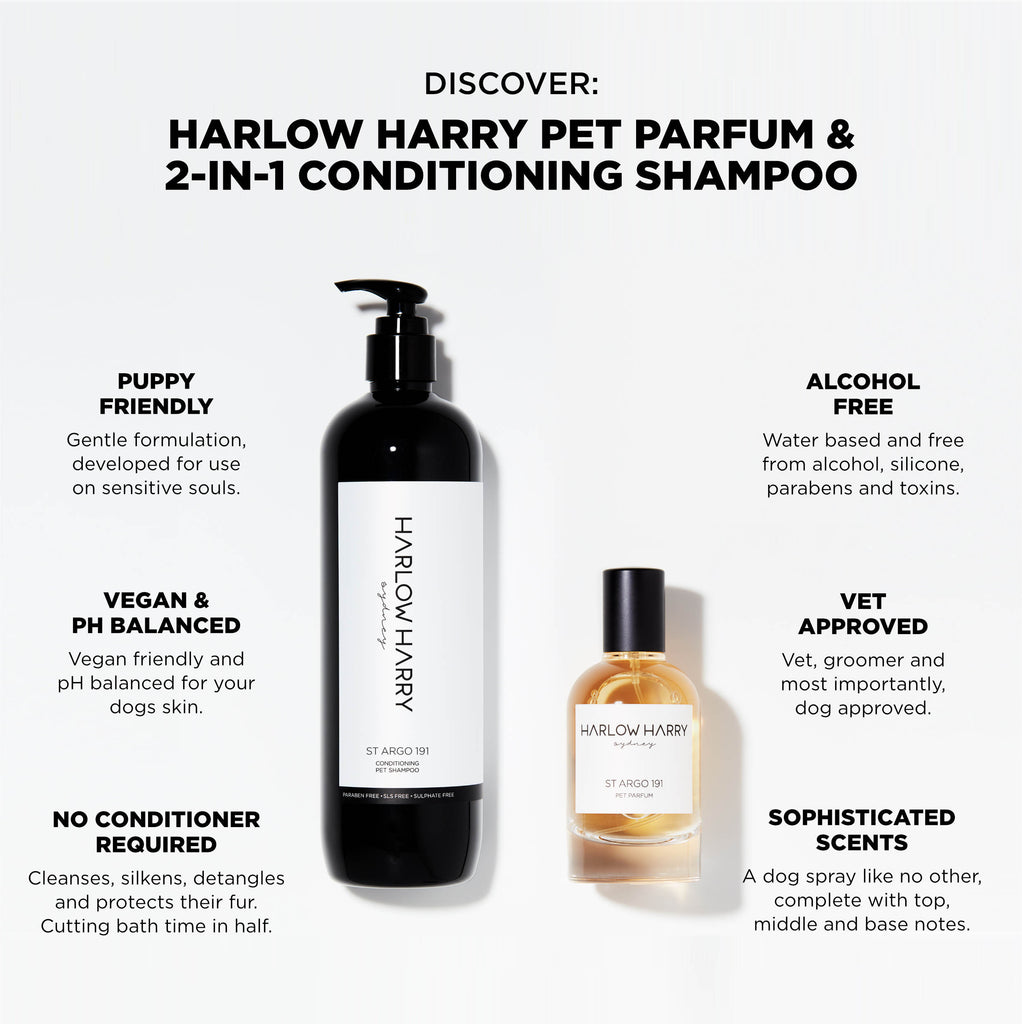 HARLOW HARRY | Dog Shampoo, Pet Grooming Products, Vegan Scents