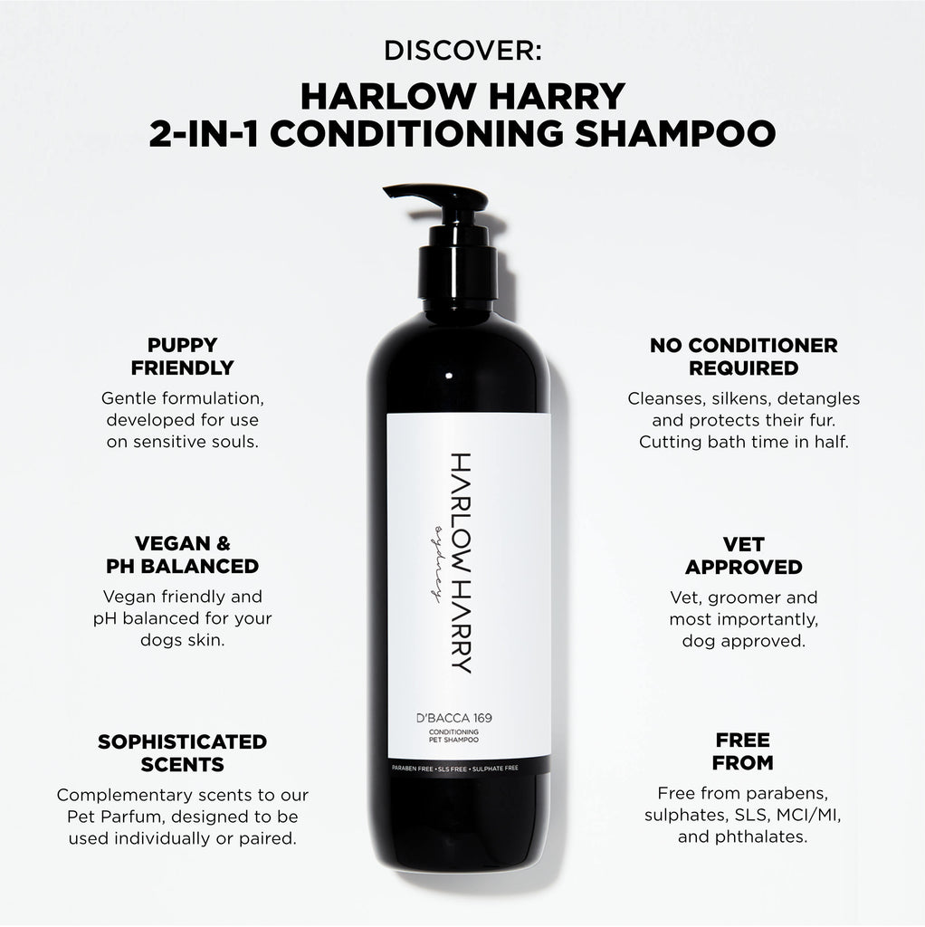Conditioning Shampoo | D'bacca 169