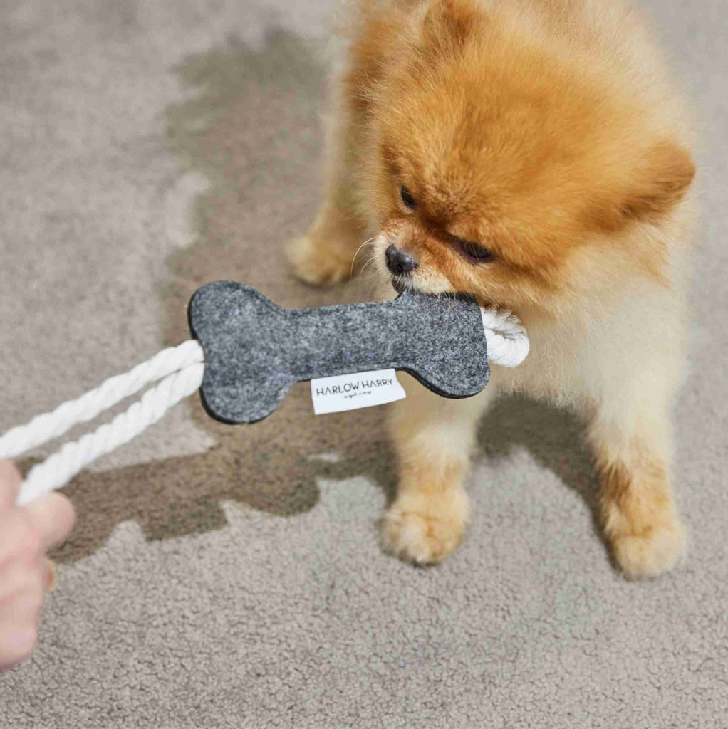 Dog Toy | Rope Felt Bone