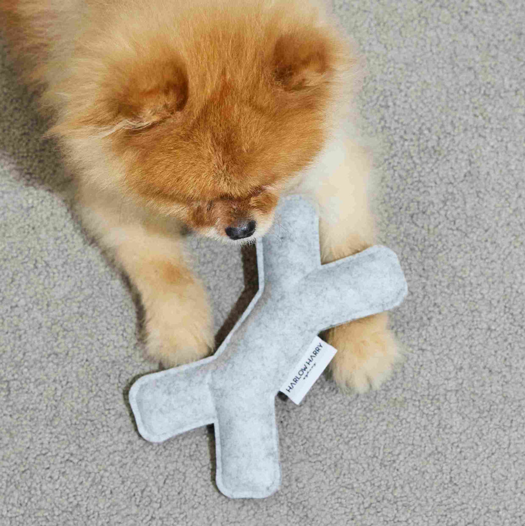 Dog Toy | Felt Bone