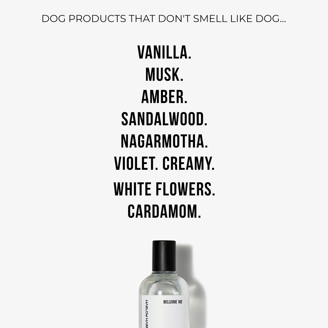 Dog Perfume | Bellevue 162