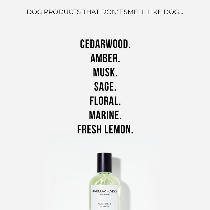 Dog Perfume | Hunter 33