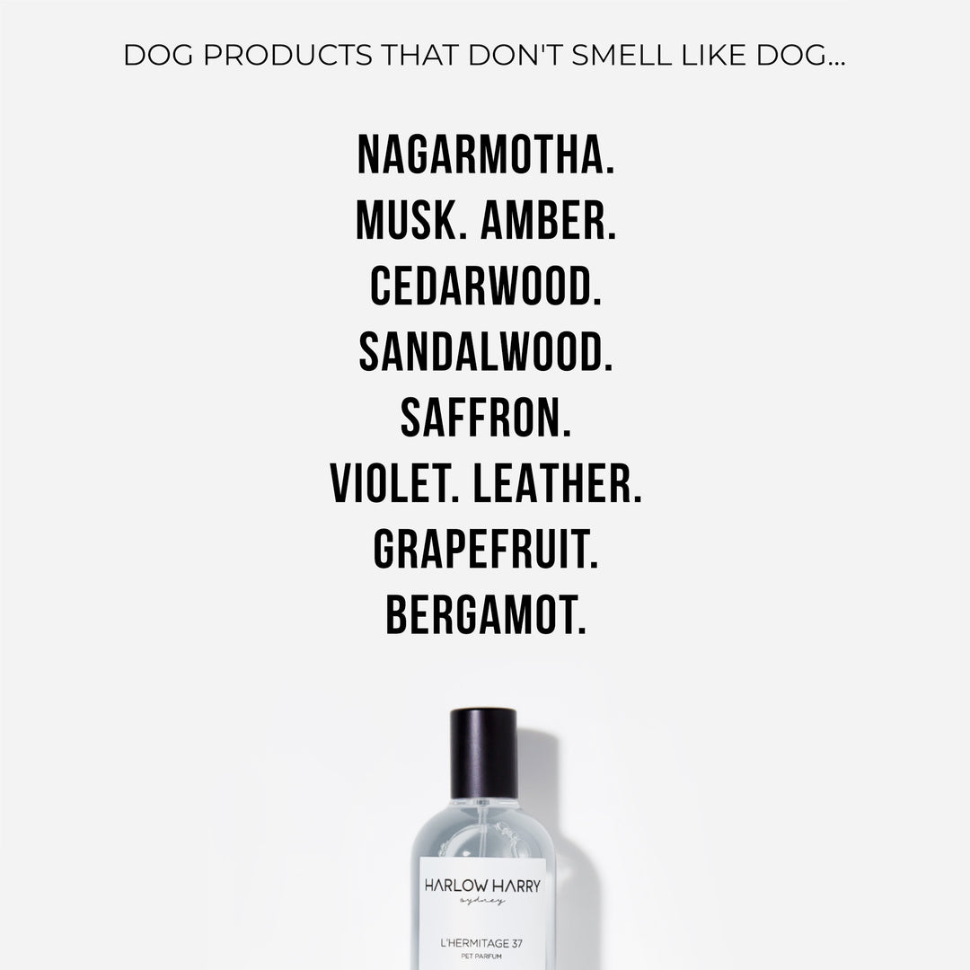 Dog Perfume | L'hermitage 37