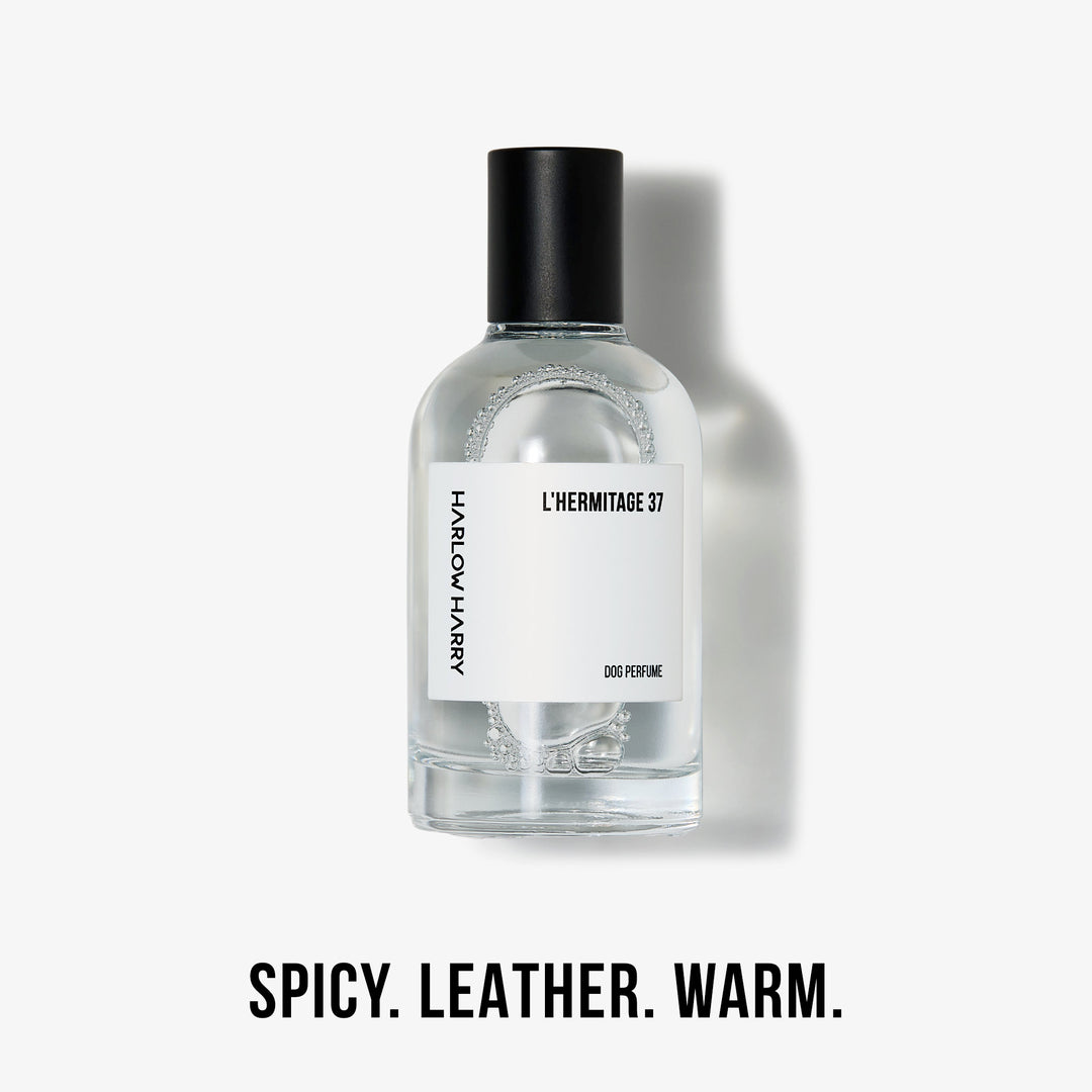 Dog Perfume | The Pair 3.0