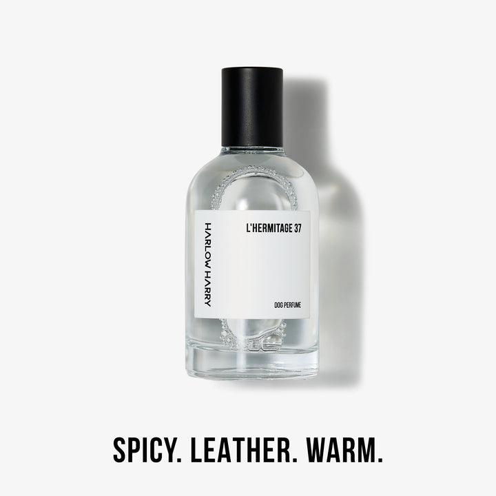 Dog Perfume | The Pair 3.0