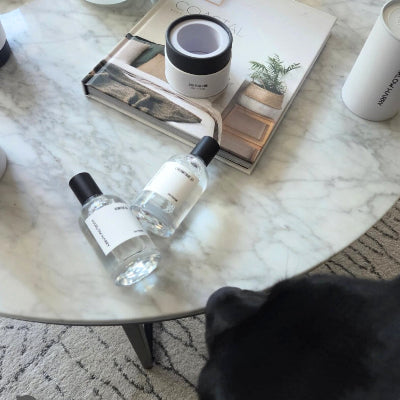 Harlow Harry The Pair 2.0 dog perfume set — features L'hermitage 37 and D'bacca 169 pet fragrances for dogs