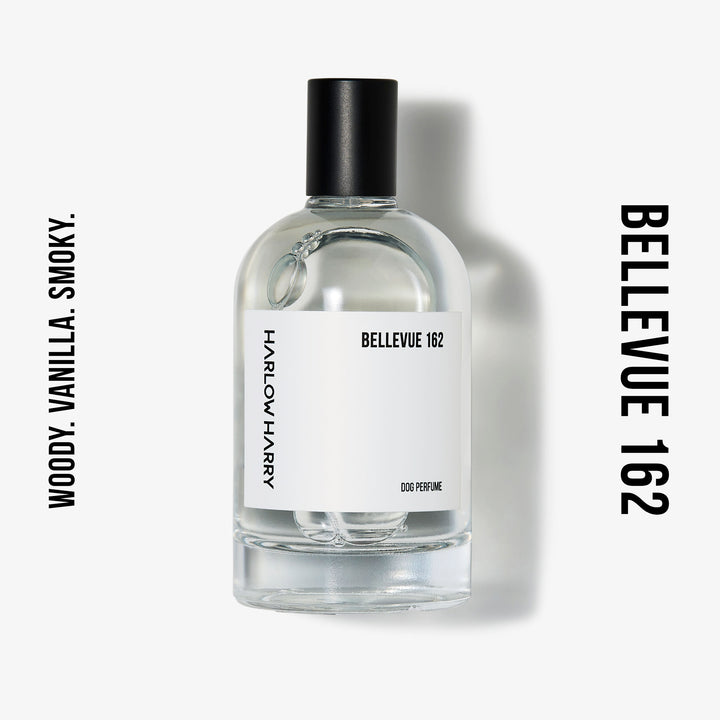 Dog Perfume | Bellevue 162