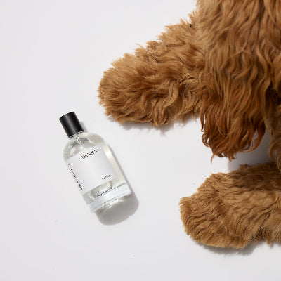 Harlow Harry Bellevue 162 set. Dog perfume and coordinating pet fragrance for dogs