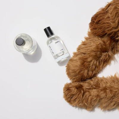 Harlow Harry Hunter 33 dog perfume bottle - fresh and marine-inspired pet cologne for dogs